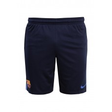 Шорты спортивные FCB M SHORT SQD KZ Nike Шорты спортивные FCB M SHORT SQD KZ Nike