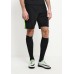 Шорты спортивные M NK FLX STRKE SHORT W Nike Шорты спортивные M NK FLX STRKE SHORT W Nike
