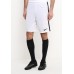 Шорты спортивные M NK DRY ACDMY SHORT K Nike Шорты спортивные M NK DRY ACDMY SHORT K Nike