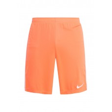 Шорты спортивные M NK DRY ACDMY SHORT K Nike Шорты спортивные M NK DRY ACDMY SHORT K Nike