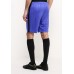 Шорты спортивные M NK SQD SHORT JAQ KZ Nike Шорты спортивные M NK SQD SHORT JAQ KZ Nike
