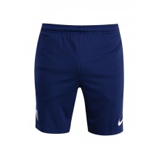 Шорты спортивные PSG M NK DRY SQD SHORT KZ Nike