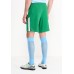 Шорты спортивные MCFC M NK BRT STAD SHORT HAG Nike Шорты спортивные MCFC M NK BRT STAD SHORT HAG Nike